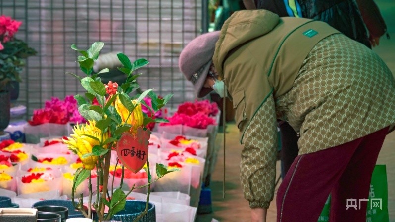 花卉市场春意浓 姹紫嫣红迎新年