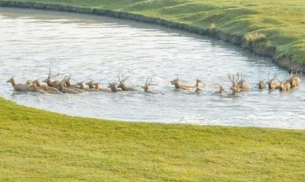 专家释疑：“湿地”到底是什么地？