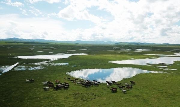 专家释疑：“湿地”到底是什么地？