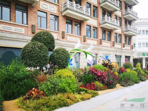 金奖作品“鹭岛印象”实景图.jpg