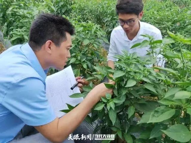 以研促教以教促学做强园艺技术专业群