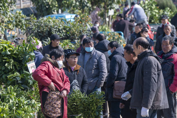 金华澧浦花木城迎来新春开市 首日成交额近千万元