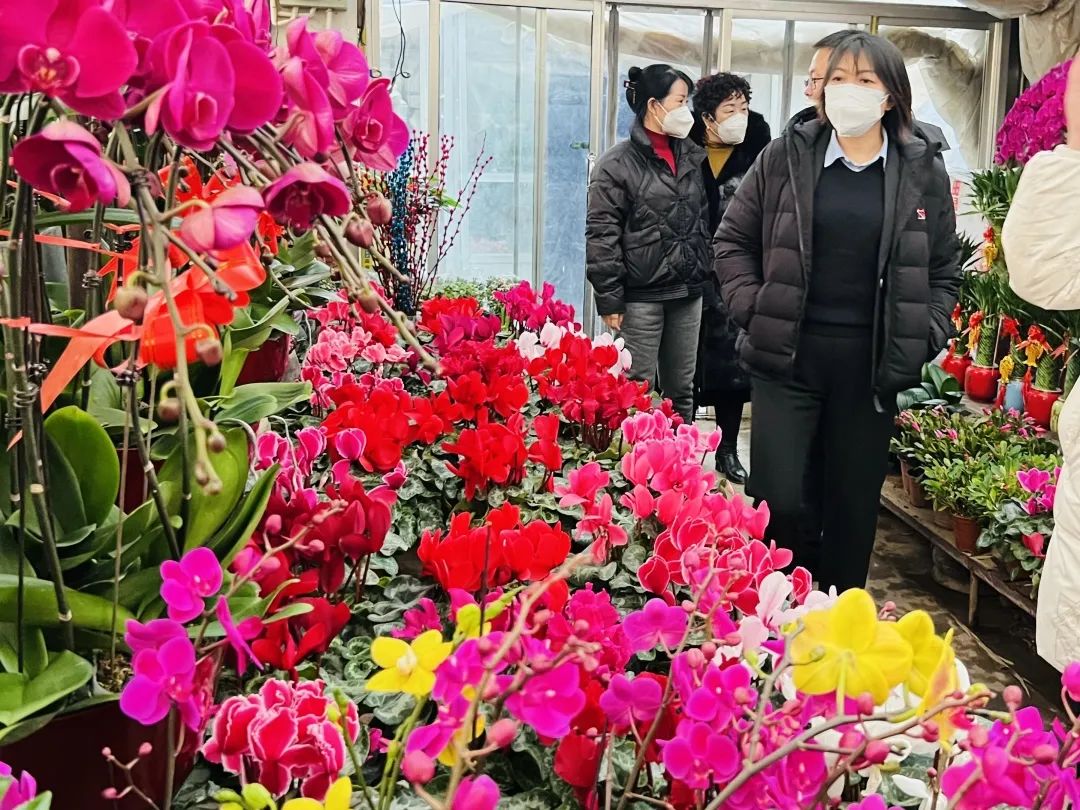 临夏花卉市场红红火火，这抹春色，你值得拥有