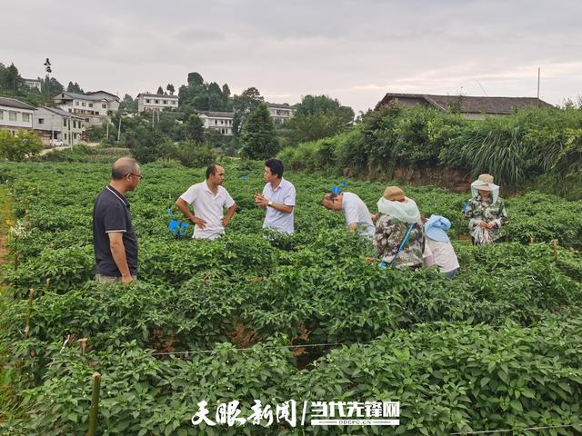以研促教以教促学做强园艺技术专业群