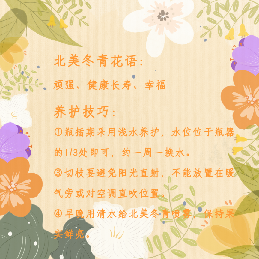 年宵花怎么选？购养全攻略收好！