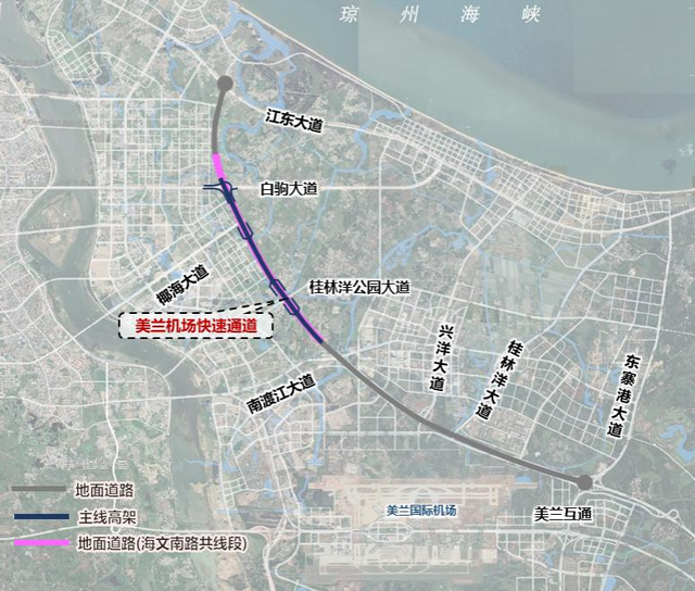 1437棵绿化树搬家 保障海口江东新区快速通道工程建设
