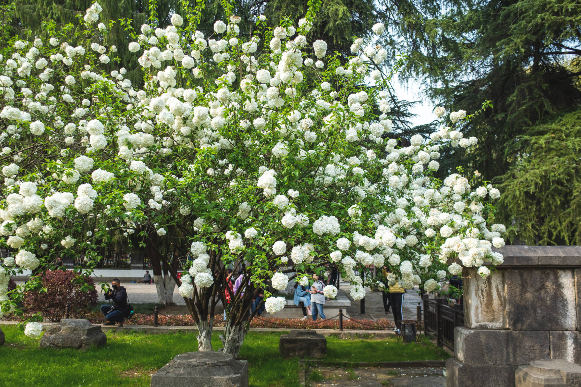 中国 算木花入　f2250224 1308.jpg