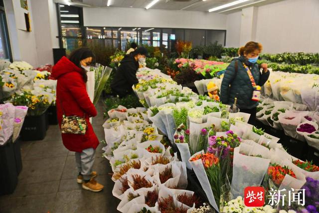 春节将至鲜花俏，南京花卉市场“春意”浓