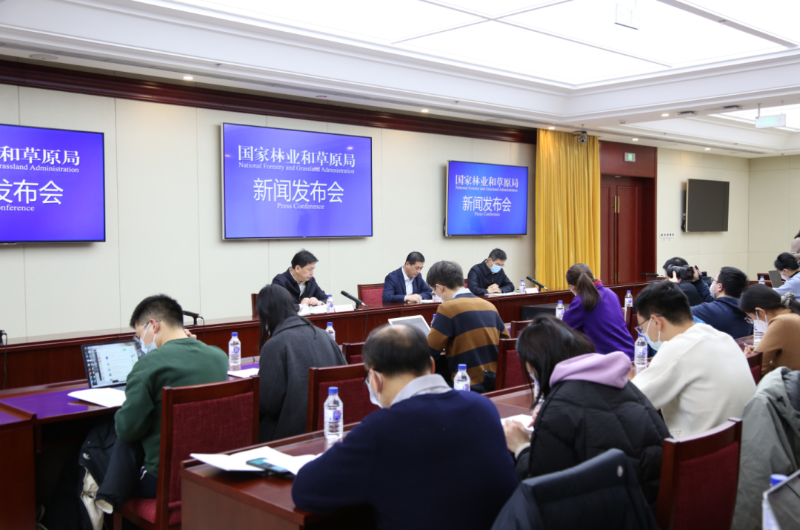 国家林草局新闻发布会：全球绿色净增长4%以上来自退耕还林还草