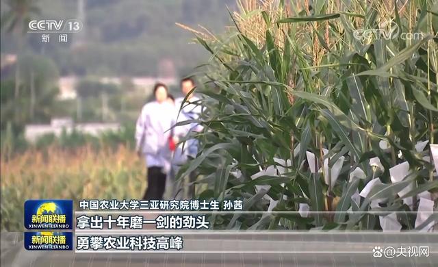 「新思想引领新征程」攥紧中国种子 端稳中国饭碗