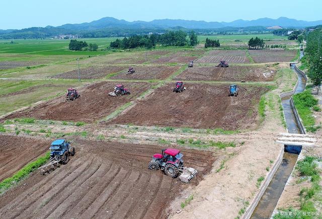 “一户一田”来了！中央一号文件：土地整治，小田并大田