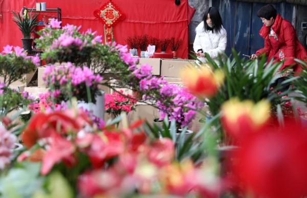 七彩“富农”花  绽放喜迎春