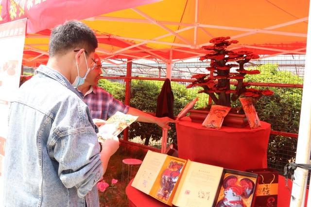 签订意向合同4.2亿元，第十八届泰山苗木花卉交易会开幕