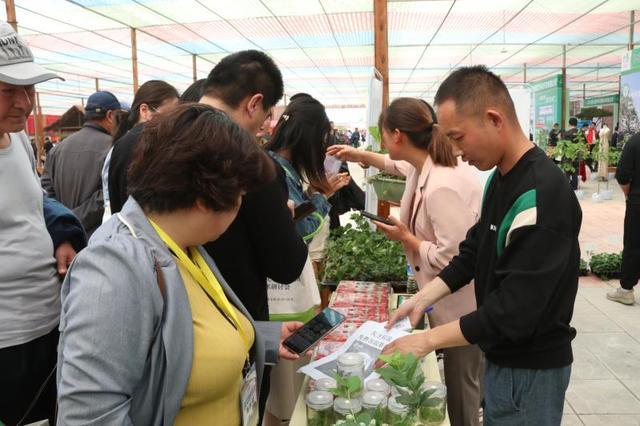 签订意向合同4.2亿元，第十八届泰山苗木花卉交易会开幕