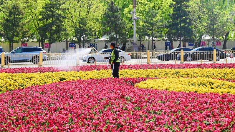 28万余株花卉装点北京天安门广场