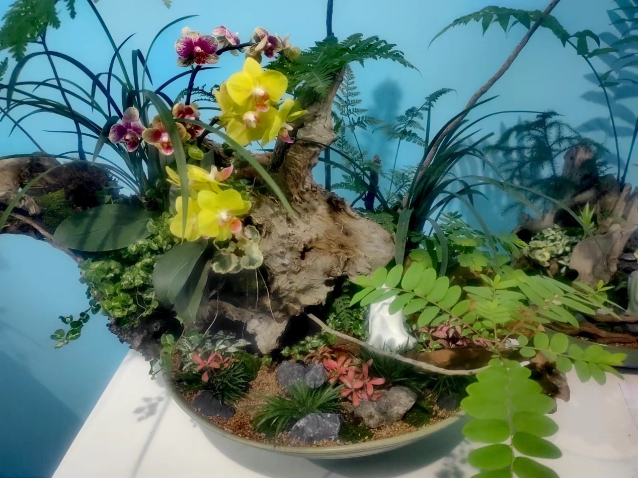 成都世园会倒计时一周年I成都春季花卉苗木供需对接会在郫都召开