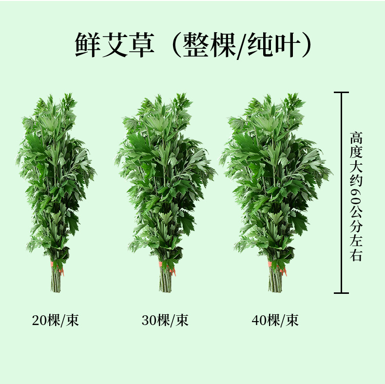 端午节艾草家用全棵端午艾叶
