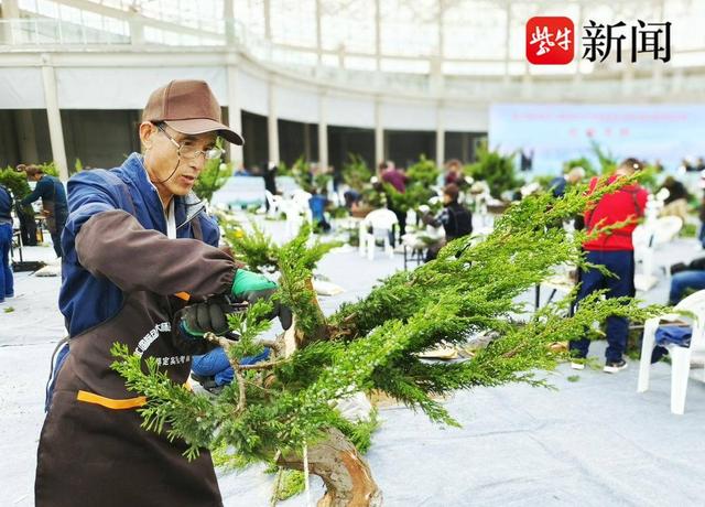 2023 年国际盆景大会年度主展览将于9月底在沭阳举行