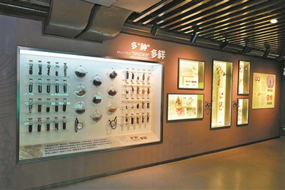 广州木本花卉专类植物展示园成立