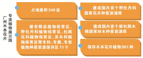 广州木本花卉专类植物展示园成立