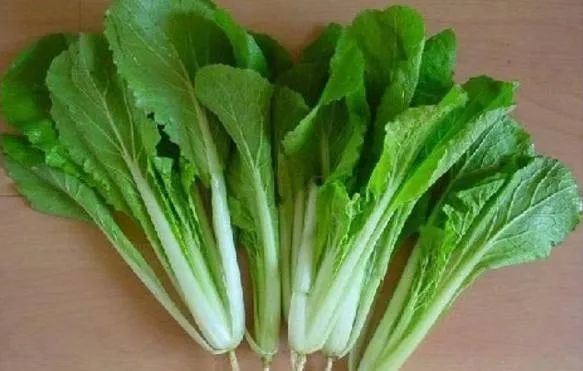 100种常见的花卉图片及其简介